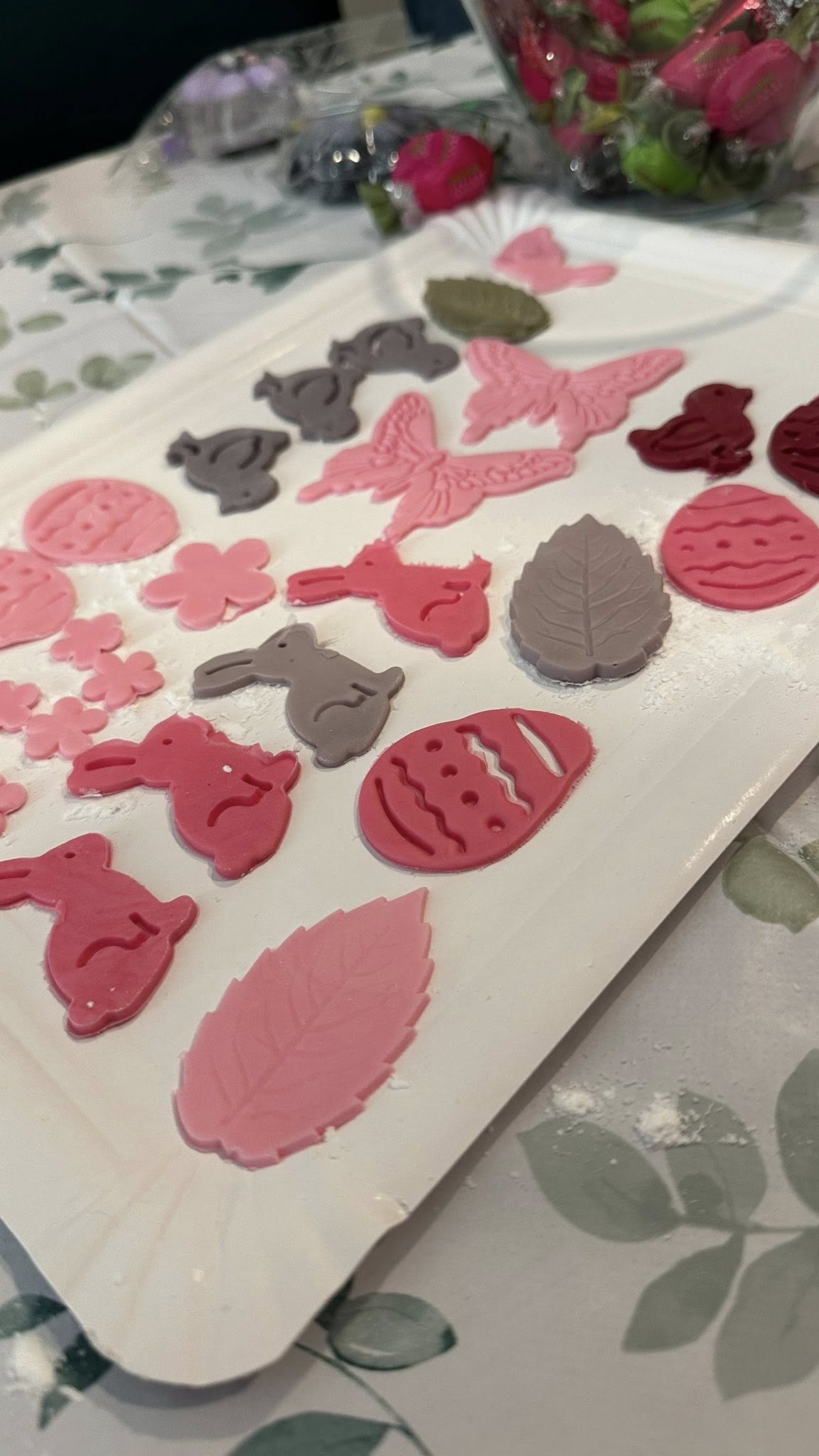 489290267_4869930076566314_7730564837268781986_n