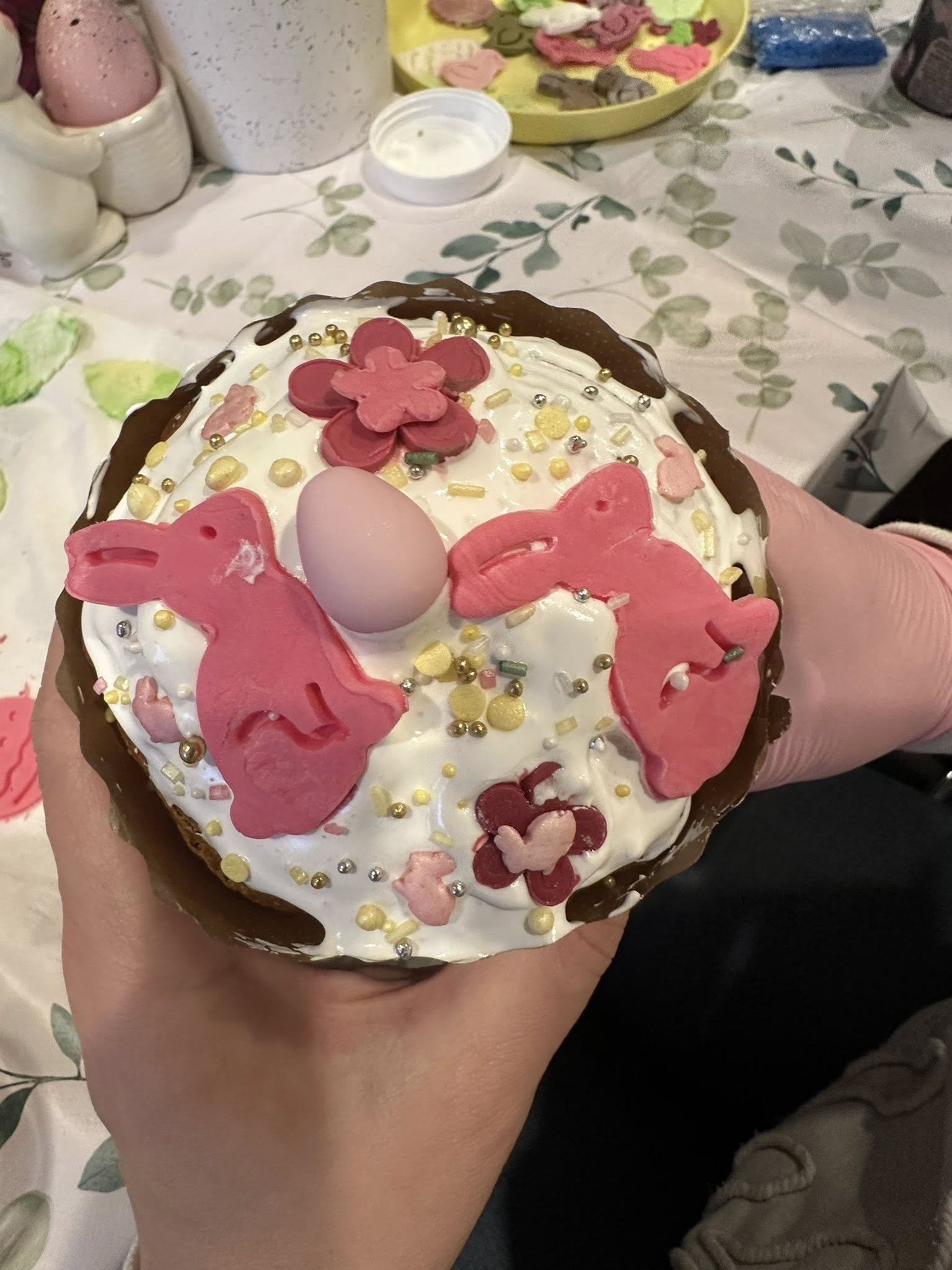 491710006_4879772692248719_5637043892816193514_n